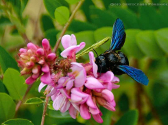 В Камышине посвежеет до +26-ти