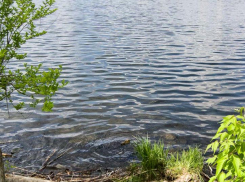 Погода в Камышине 8 июля будет жаркой, но все же позволит немного «продохнуть»