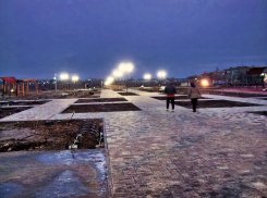 В парке Текстильщиков зажгли фонари, и камышане отправились гулять по пустынным дорожкам