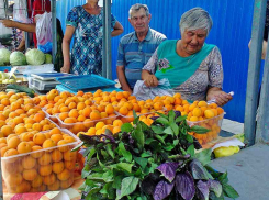 Камышин накрыл абрикосовый рай