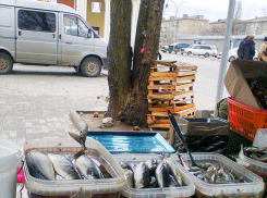 Новый торговый центр в Камышине в «обрамлении» селедки: разве не лучше площадь перед «Победой» очистить от «колхозных» прилавков? - камышанка