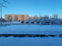 В Камышине молодой водитель сбил девочку на улице Некрасова