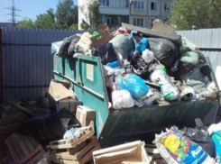 «Новые известия»: Камышин Волгоградской области поднял цены на вывоз мусора