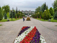 В Камышине хулиган-велосипедист проехал поперек клумбы в парке Победы, изуродовав цветник