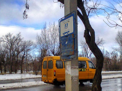 После реплик «Блокнота Камышина» автобусную остановку все-таки очистили от сухой ветки на аншлаге