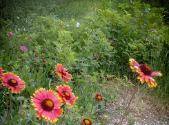 Население города размером с Фролово умерло в Волгоградской области, - «Блокнот Волгограда»