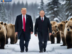 Последняя интрига Аляски: США поставили жесткий ультиматум Зеленскому — судьба главаря Украины предрешена