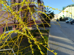 Западный ветер «надует» холодный дождь в Камышине, но он пойдет не сегодня, а завтра