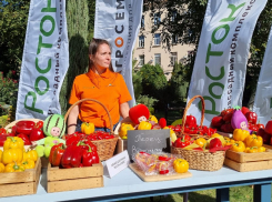 Фестиваль местных продуктов впервые проходит в Волгоградской области