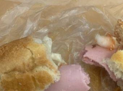 Камышанка рассказала в соцсетях, как откусила кусочек от хот-дога известного в Камышине производителя и получила кнопку в небо