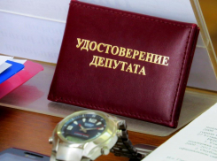 Будет ли у Камышина второй депутат в Волгоградской областной думе, станет ясно только 25 сентября