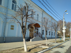 Зачем в городе стричь липы так, чтобы они оставались уродливыми обрубками? - камышанка