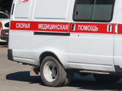 Молодая женщина-водитель чудом выжила, врезавшись в дерево на дороге Ольховка - Камышин
