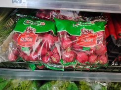 Камышанам предлагают нарезать салат из израильской редиски  - по «дешевке»