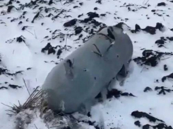 В полях под райцентром Елань в Волгоградской области, в 230-ти километрах от Камышина, упало что-то похожее не то на беспилотник, не то на ракету