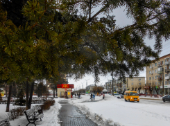 Около нуля, туманно и облачно: погода в Камышине на Рождество