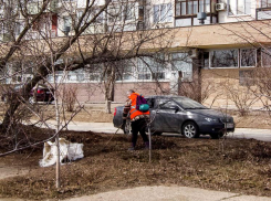 Пока в Камышине не объявили городских субботников, самые активные камышане сами выходят убирать у многоэтажек