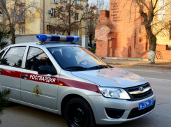 В Камышине беглец, завидев росгвардейцев, бросил подозрительный пакет...