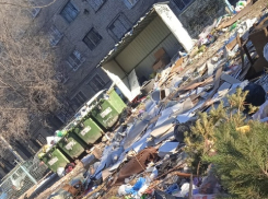 Камышане в соцсетях предложили объявить народный сход по вопросам мусора, его транспортировки к дому мэра и бродячих собак