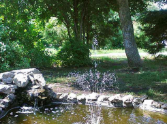 В Камышине в парке Комсомольцев-добровольцев этим летом отдыхающих радует прудик с фонтанчиком