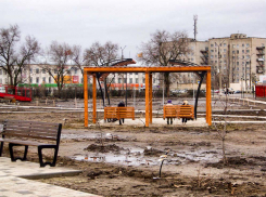 «Так состоится или нет открытие парка Текстильщиков к Новому году? Раз в Камышине никто не знает, спрошу-ка у президента!» - камышанка