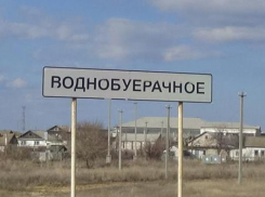 Семья Юрия и Александры Ковалевич из села Водно-Буерачное Камышинского района решилась на усыновление семерых детей