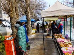 Плюс один и яркое солнце: погода в Камышине 8 Марта