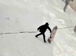 Сшиб с ног ударом кулака в голову: наглое нападение на женщину в Камышине (ВИДЕО)