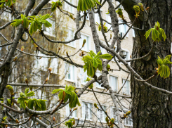 Жителям Волгоградской области рассказали, какие данные о должниках за квартиры  допустимо «развешивать на подъездах»