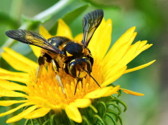 +30 покажут термометры в Камышине сегодня, 29 июля