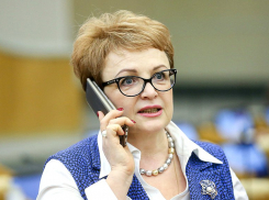 Депутат Госдумы от Волгоградской области Нина Черняева на прощание рассказала камышинской административной газете «Диалог» о новых законах