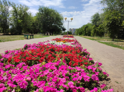 +33 и яркое солнце: жара никуда не уходит из Камышина 10 июля