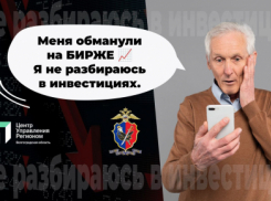 Жители Волгоградской области продолжают попадаться мошенникам на жажде быстрых легких денег