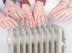 В школе №17 руководители учреждения и комитета по образованию Камышина морозят первоклассников