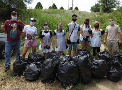 В Камышине волонтеры еле вынесли весь мусор, который собрали с откосов Бородинского моста