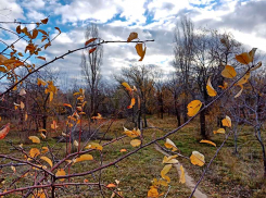 В соседнем с Камышинским - Дубовском районе наши труп девушки с ожогами