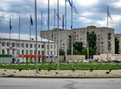 В Камышине начали декорировать клумбу на площади Героя России Александра Колгатина