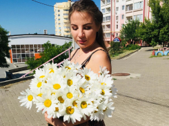 В Камышине вырастили в теплицах ромашки «Серебряная принцесса» - на радость влюбленным!