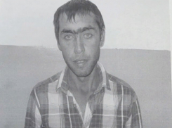 Тринадцатилетнюю девочку изнасиловали в лесополосе в Волгоградской области, - «Блокнот Волгограда»