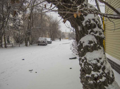 В Камышине продолжит хозяйничать сильный ветер, завтра - с метелью