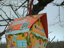 В Камышине пропишется промозглая серость при температурах около нуля