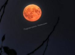 Камышане восхитились редкой, захватывающей «Осетровой луной»  