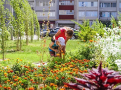 Камышане имеют шанс голосованием решить, какие территории должна благоустраивать мэрия в первую очередь