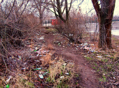 Пора вычистить в Камышине мусорную свалку у остановки на площади имени Героя! - камышанка