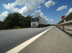 Как суд наказал водителя, взявшегося менять подложные регистрационные знаки на трассе между Камышином и Волгоградом