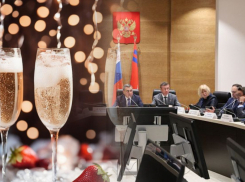 В Волгоградской областной думе решили, что оплачивать из бюджета фуршеты - это ничего, но еще и алкоголь для них - чересчур