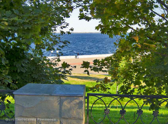 В Камышине установится прекрасная солнечная погода с температурой +15