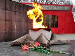 Администрация Камышина учла критику горожан и заранее приглашает их на акции в День героев Отечества