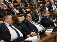 Венгерские депутаты урезали себе зарплату: готовы ли в Госдуме РФ пойти на аналогичные меры?
