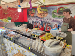 В Камышин приехала ярмарка «со всего света» с кусачими ценами